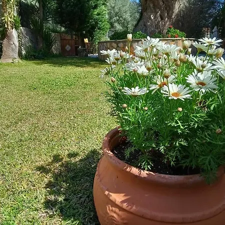 Spiros Sea View Nydri (Lefkada)