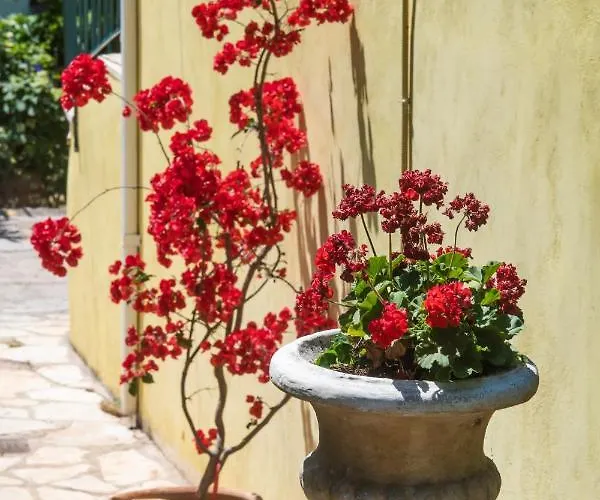 Spiros Sea View * Nydri (Lefkada)