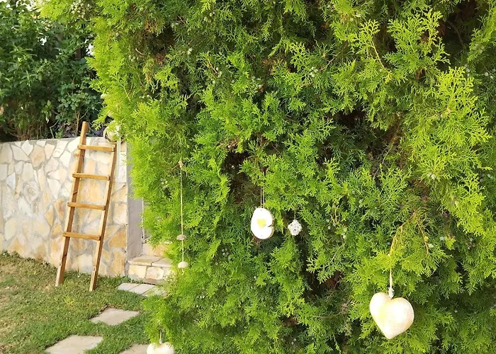 Spiros Sea View Han Nydri (Lefkada)