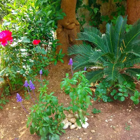 Spiros Sea View Värdshus