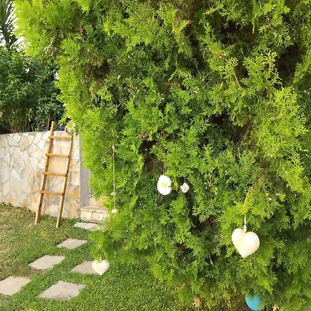 Spiros Sea View Värdshus Nidhrion