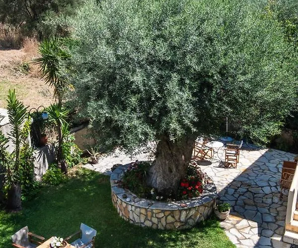 Spiros Sea View Inn *