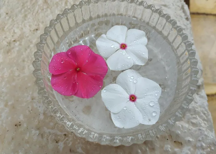 Spiros Sea View Inn *